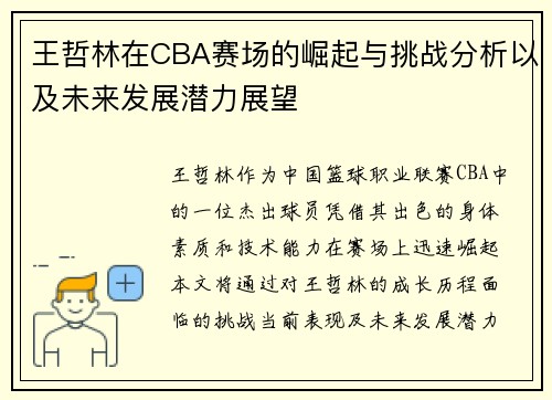 王哲林在CBA赛场的崛起与挑战分析以及未来发展潜力展望